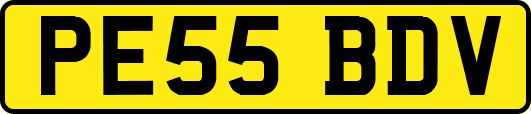 PE55BDV