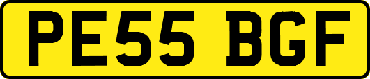 PE55BGF