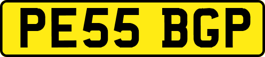 PE55BGP