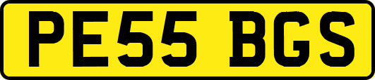 PE55BGS