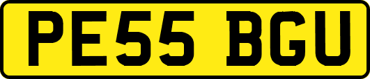 PE55BGU