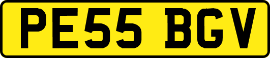 PE55BGV