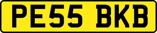 PE55BKB