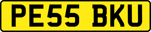 PE55BKU