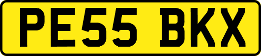 PE55BKX