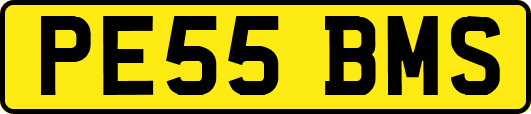 PE55BMS