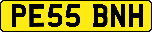 PE55BNH