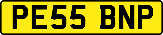 PE55BNP