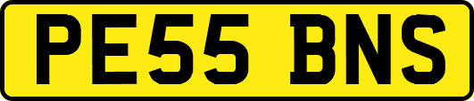 PE55BNS