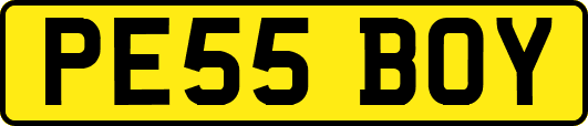 PE55BOY