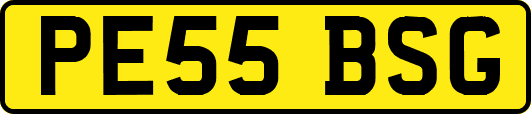 PE55BSG