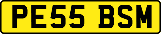 PE55BSM