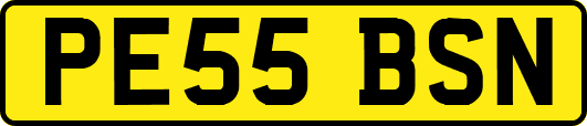 PE55BSN