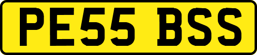 PE55BSS
