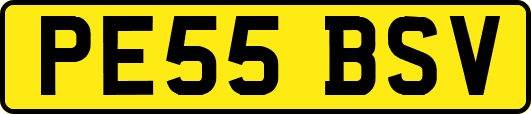 PE55BSV