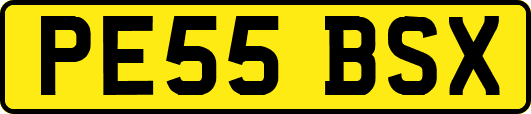PE55BSX