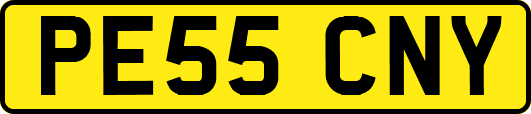 PE55CNY