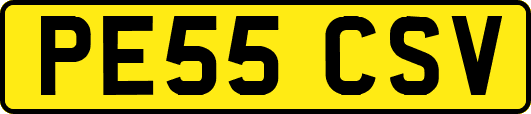 PE55CSV