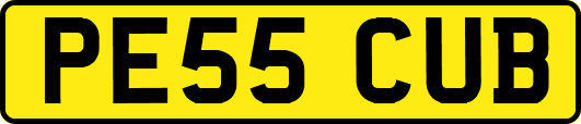 PE55CUB