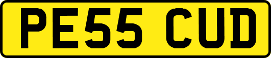 PE55CUD