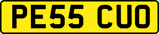 PE55CUO