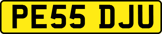 PE55DJU