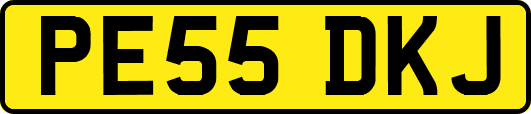 PE55DKJ