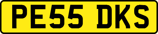 PE55DKS