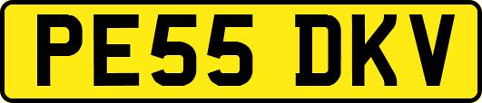 PE55DKV