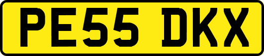 PE55DKX
