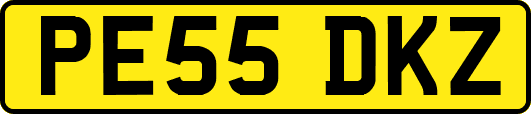 PE55DKZ
