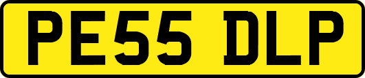 PE55DLP