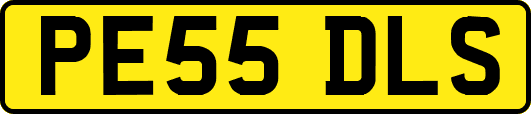 PE55DLS