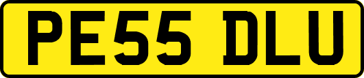 PE55DLU