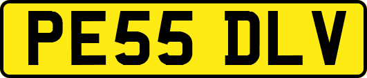 PE55DLV