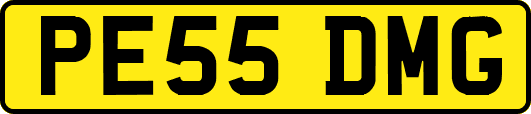 PE55DMG