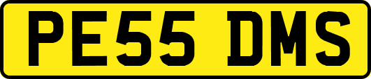 PE55DMS