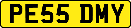 PE55DMY