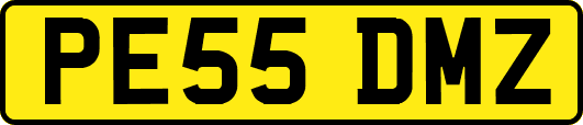 PE55DMZ