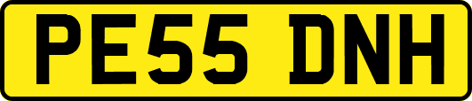 PE55DNH