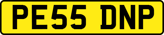 PE55DNP