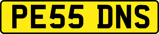 PE55DNS