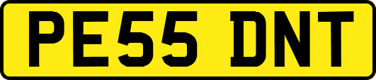 PE55DNT