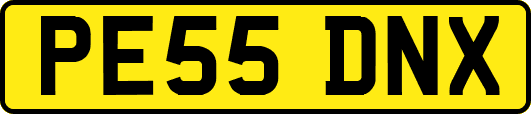 PE55DNX
