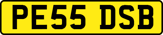 PE55DSB
