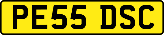 PE55DSC