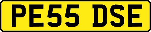 PE55DSE