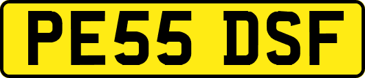 PE55DSF
