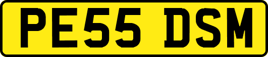 PE55DSM