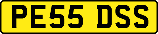 PE55DSS